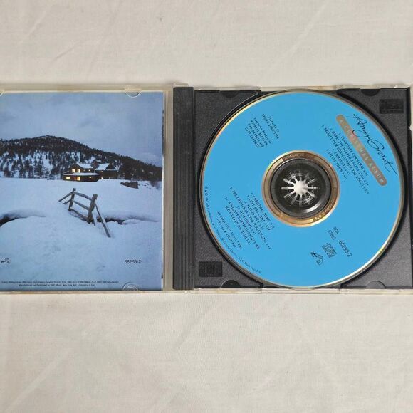 Amy Grant A Christmas Album CD Pre-Owned - Picture 2 of 3